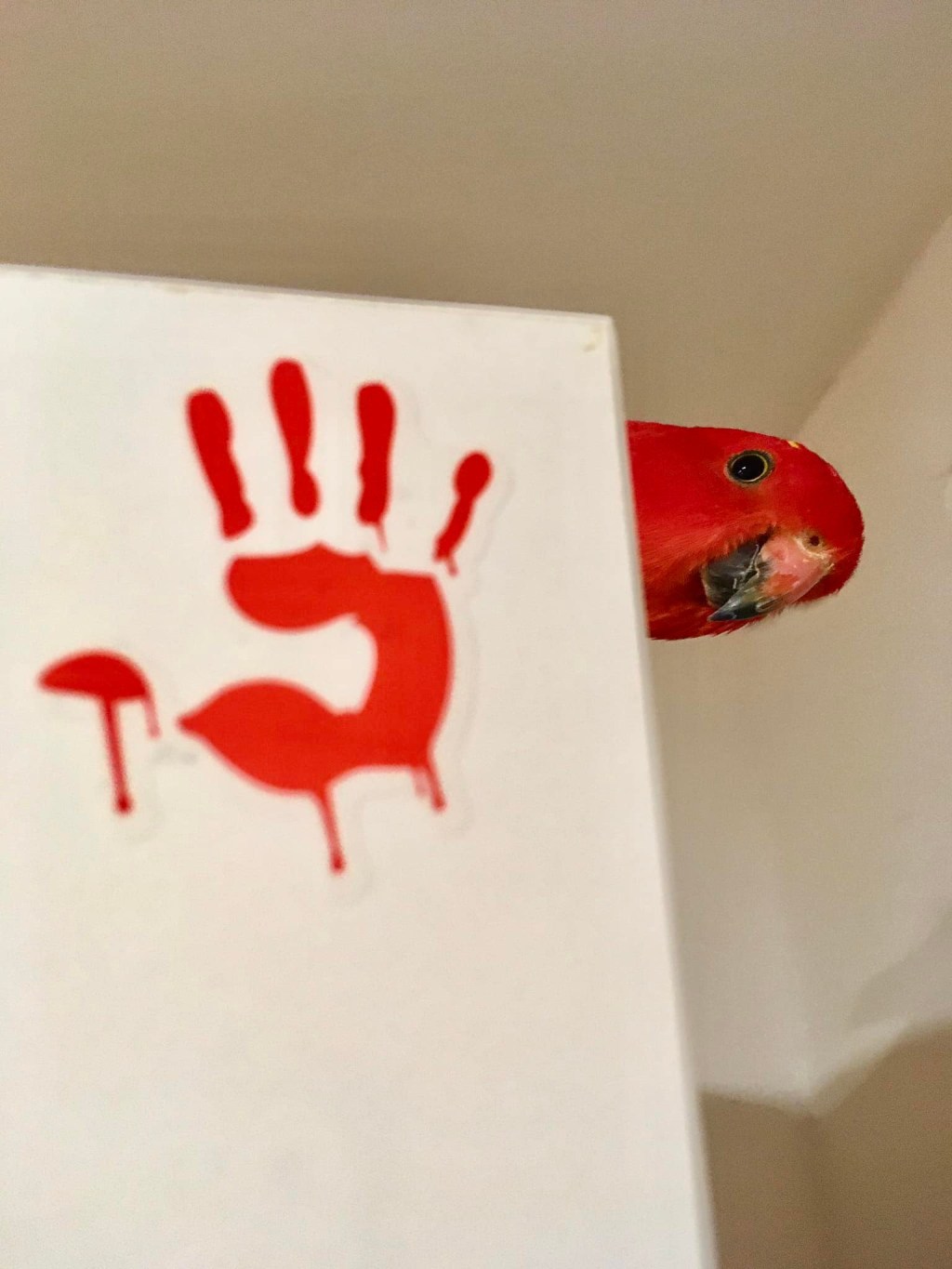 Důležitost papoušků ve vývoji&nbsp;softwaru