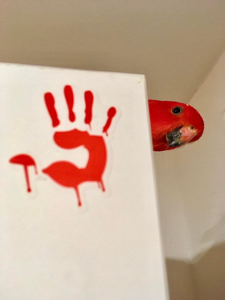 papousek s logem A4Tech