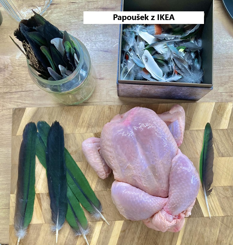 ikea papousek peri torzo